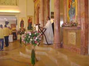 ???????????????????????????????