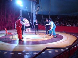 ???????????????????????????????