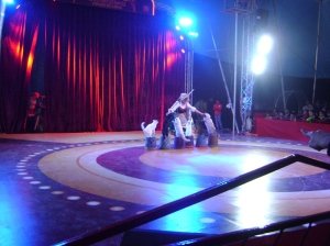 ???????????????????????????????